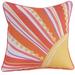 18" x 18" Indoor Throw Pillow