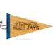 Toronto Blue Jays 7" x 12" Wood Pennant