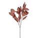 Vickerman 710234 - 28" Dark Brown Dried Leaf Spray 3/Bag (FM223829) Home Office Picks and Sprays