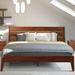 Acacia Emery Solid Wood Platform Bed Frame w/ Headboard Wood in Brown | 43.9 H x 79.2 W x 84.5 D in | Wayfair A9KU