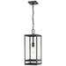 1 Light Outdoor Chain Mount Ceiling Fixture in Black finish