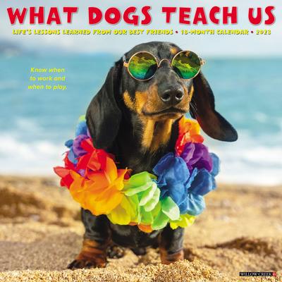 Willow Creek Press What Dogs Teach Us 2023 Wall Calendar
