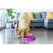 Outward Hound Fun Feeder Slow Bowl, Slow Feeder Dog Bowl, Large, Purple Plastic (affordable option) in Pink | 2 H x 11.75 W x 11.75 D in | Wayfair