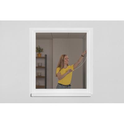 SCHELLENBERG Insektenschutz-Fensterrahmen "Easy Click für Fenster" Insektenschutzgitter Gr. B/H: 100 cm x 120 cm, weiß (rahmen: gewebe: weiß) Fliegengitter