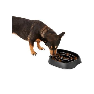 Frisco Non-Skid Slow Feeder Dog & Small Pet Bowl, Black, Medium: 4 cup