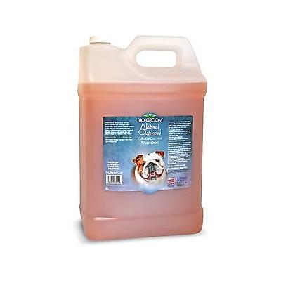 Bio-Groom Soothing Anti-Itch Oatmeal Dog Shampoo, 2.5-gallon jug