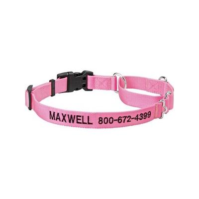 Frisco Solid Nylon Personalized Martingale Dog Collar, Pink, Large: 20 to 25-in neck, 1-in wide