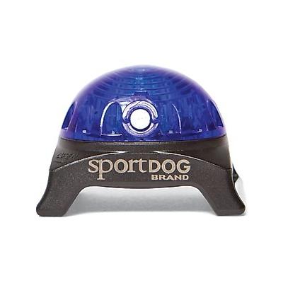 SportDOG Locator Beacon for Dog Collars, Blue