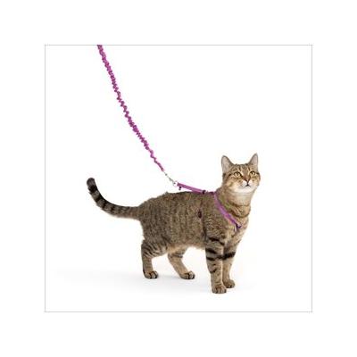 PetSafe Come With Me Kitty Rose & Burgundy Harness & Cat Leash, Small