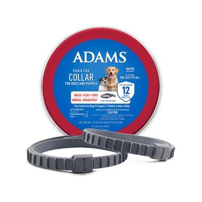Adams Flea & Tick Collar for Dogs & Puppies, 2 count