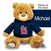 Navy St. Louis Cardinals Personalized Plush Polly Bear