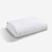 Bedgear Dri-Tec Waterproof Mattress Protector - Hypoallergenic - Noiseless & Washable Polyester | 75 H x 39 W x 18 D in | Wayfair BGM03AWFT