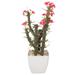 Primrue 14" Artificial Cactus Succulent in Pot Plastic | 14 H x 8 W x 7 D in | Wayfair F8EA551F1E384BCC903420C7C1A31260
