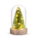The Holiday Aisle® Lit Bottle Brush Tree Cloche Plastic | 6.5 H x 4.5 W x 4.5 D in | Wayfair 195C745379D44EB384CC3A7C98598E00