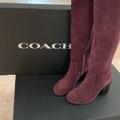 Coach Shoes | Coach Suede Zip Boots | Color: Purple | Size: 5