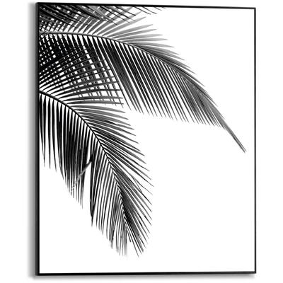 Poster REINDERS "Palmen Blatt", schwarz (farbe bild(er): schwarz, weiß), B:40cm H:50cm T:1,6cm, MDF, Bilder Image
