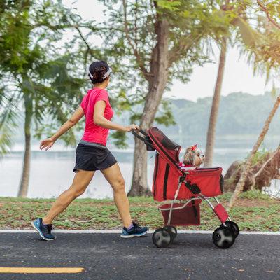 Critter Sitters Folding Jogger Stroller, Rubber in Brown/Pink/Red, Size 39.0 H x 19.0 W x 29.0 D in | Wayfair CSSPETSTLR-RED1