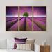 Ebern Designs Lavender Field Sunset w/ Single Tree - Floral Framed Canvas Wall Art Set Of 3 Metal in Green/Indigo | 32 H x 48 W x 1 D in | Wayfair