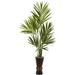 Nearly Natural 6 Kentia Artificial Tree with Bamboo Planter