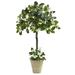 Nearly Natural Home Decor 3 Stephanotis Topiary with Planter