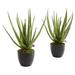 Nearly Natural Artificial Aloe Plant - Set of 2