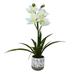 Vickerman Everyday 19 Indoor Artificial White Cymidium - Real Touch - Round Ceramic Pot - Premium Durable Plastic And Ceramic Arrangement - Maintenance Free