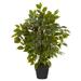 Nearly Natural 20 in. Mini Ficus Artificial Tree