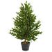 Nearly Natural 35in. Olive Cone Topiary Artificial Tree UV Resistant (Indoor/Outdoor)