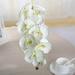 Artificial Orchid Stems Set of PU Real Touch White Orchid 37 inch Tall 9 Big Blooms Fake Phalaenopsis Flower Home Wedding Decoration ( White)
