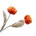 Artificial Flower Fade-less No Water Need Multi-purpose Cathay Pacific Rose Tulips Decor for Home Orange Faux Silk Flower