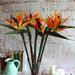 32.5 Inch Large Elegant Bird of Paradise Artificial Flower for Home Office 3 Pcs Yellow