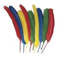 Creativity Street Quill Feathers - Multipurpose - 24 Piece(s) - 24 / Pack - Multicolor | Bundle of 5 Packs