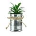 Northlight 6 Tropical Artificial Plant in Tin Planter - Green/Silver