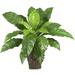 Nearly Natural Birds nest Fern with Wicker Basket