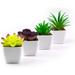 Small Fake Plants 4pcs Cute Little Succulents Artificial Mini Potted Succulents for Home Offices Bathroom Bookshelf TV Table