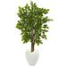 Nearly Natural 56in. River Birch Artificial Tree in White Planter