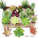 12 Pieces Mini Succulents Random Mixed Artificial Succulents Decorative Succulents Assorted