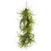 Nearly Natural 48 in. Air Plant Artificial Hanging Plant