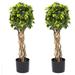 Pure Garden 2-Piece Single Ball Faux English Ivy Topiary Artificial Topiaries Set with Pots