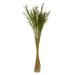 Vickerman 36 Green Congo Grass 8 oz Bundle Dried