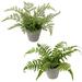 N/D Artificial Plants Mini Artificial Potted Plants Faux Eucalyptus Plants Rosemary Greenery in Pots Small Houseplants for Indoor Greenery Home Office Desk Shower Room Decoration (Green #01)