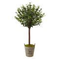 Nearly Natural Olive Topiary Tree