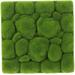 Homemaxs Moss Artificial Fake Wall Plants Mat Grassdecor Rug Board Privacy Greencrafts Turf Fence Diy Ornamentsrocks Roll