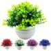 SPRING PARK Artificial Mini Potted Plants Fake Plastic Greenery in Pots Small Faux Topiary Grass Shrubs Houseplants for Centerpiece Desk Room House Office Decor Decoration