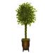 Nearly Natural 6 ft. Braided Ficus Artificial Tree in Decorative Planter