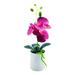 11.81 Inches Tall Artificial Silk Phalaenopsis Orchid Flower Plant Pot Arrangements PVC Fresh Keeping Fake Butterfly Orchid for Desktop