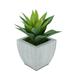 House of Silk Flowers Faux Frosted Light Green Succulent in Tapered Zinc Pot (Farmhouse)