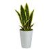 Nearly Natural P1590 18 in. Sansevieria Artificial Plant with Planter White