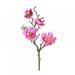 Keimprove Artificial Magnolia Flowers Fake Real Touch Magnolia Bouquet for Floral Arrangements Silk Long Stem Magnolia Simulation Flower For Wedding Party Home Office Decoration Table Centerpiece