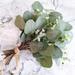 Ludlz 10 Pcs Artificial Seeded Eucalyptus Leaves Stems Bulk Artificial Silver Dollar Eucalyptus Leaves Plant in Grey Green Artificial Greenery Holiday Greens Wedding Greenery